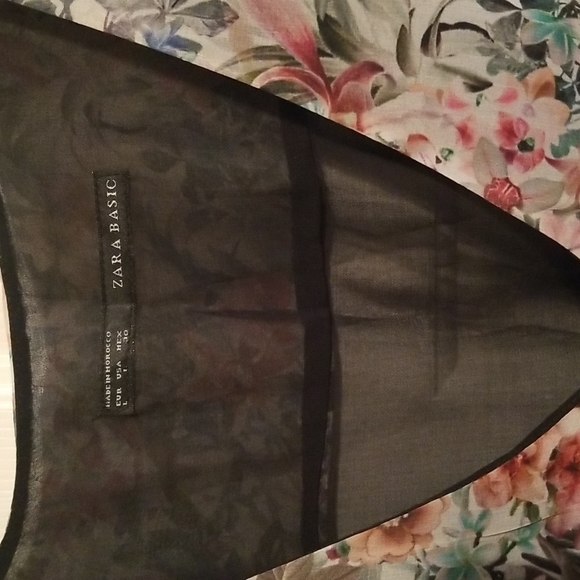 Zara Dress with Sheer Back - Picture 2 of 4